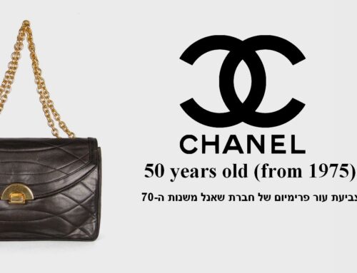 צביעה לעור פרימיום שאנל בן 50