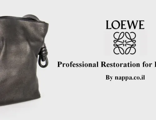 תיקון חידוש וצביעה מקצועית לתיק LOEWE