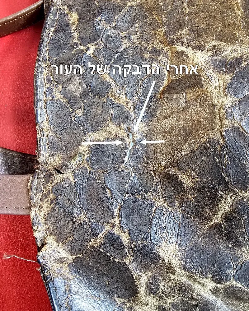 leather-bag-tear-before-restoration
