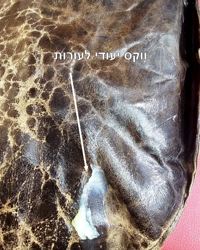 מריחת ווקס ייעודי לעורות לשם החזרת לחות וגמישות לעור היבש מריחת ווקס ייעודי לעורות לשם החזרת לחות וגמישות לעור היבש