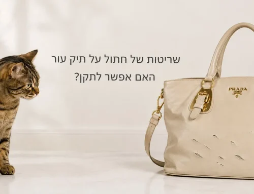 שריטות של חתול על תיק עור – האם אפשר לתקן?