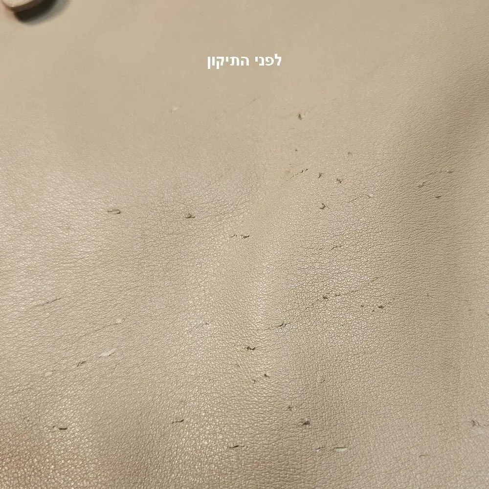 שריטות וקרעים של חתול על תיק עור Prada לפני תיקון