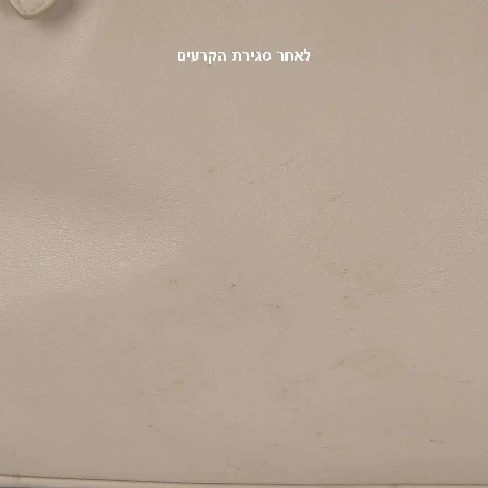 תיקון קרעים ושריטות של חתול בתיק עור Prada